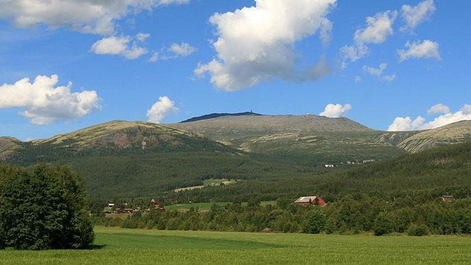 Lenke til artikkel: Tronveien - Informasjon fra ordfører
