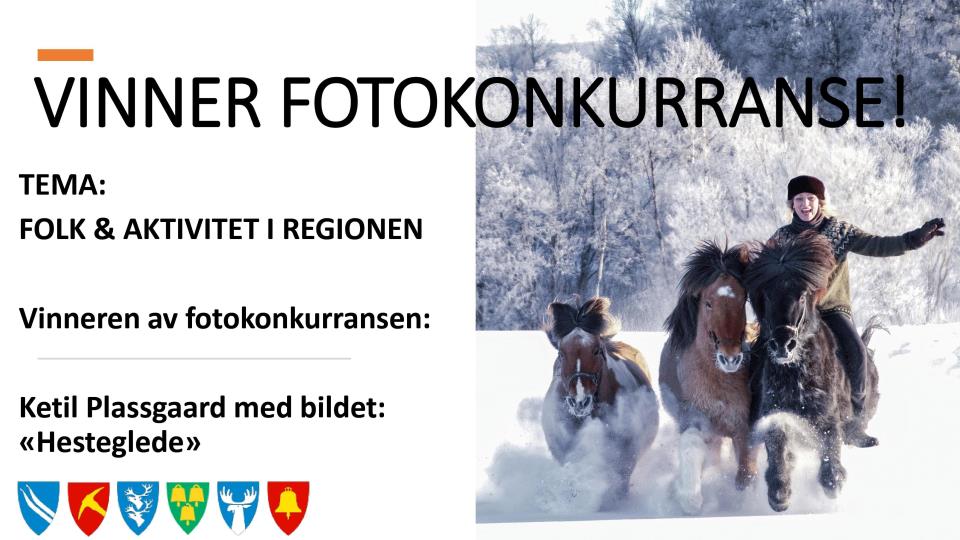 Lenke til artikkel: Vinner av fotokonkurranse "Folk og aktivitet"