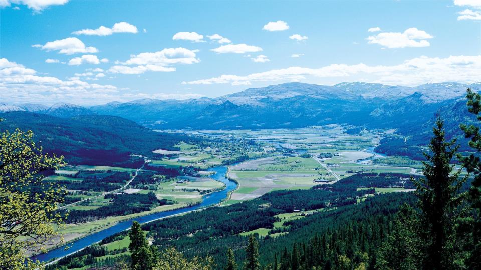 Lenke til artikkel: Lørdag 5. november er dagen for alle som har flyttet til Alvdal.