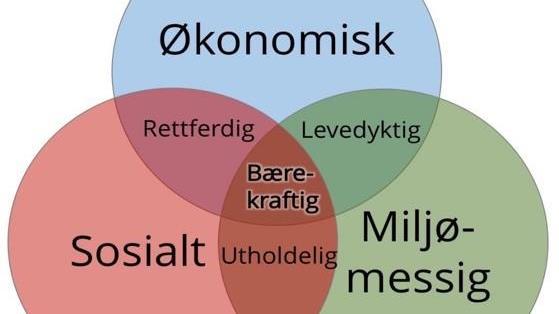 Lenke til artikkel: Alvdal i toppen på liste over bærekraftige kommuner