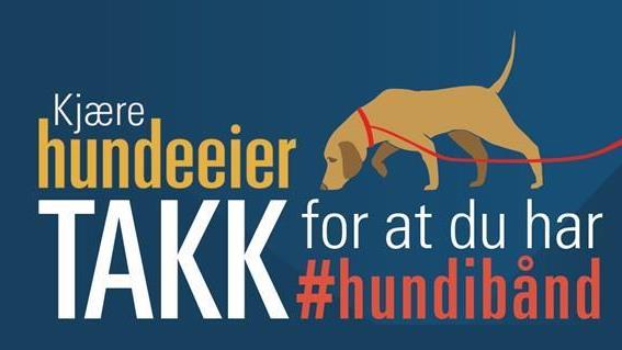 Lenke til artikkel: Båndtvang for hunder fra 1. april