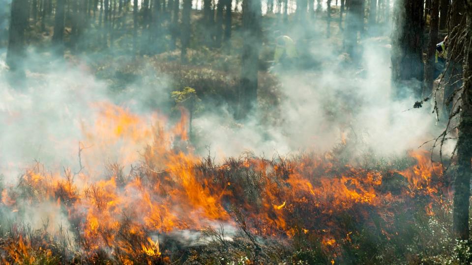 Lenke til artikkel: Din ild - ditt ansvar! Husk at bålforforbudet gjelder.