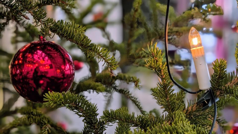 Lenke til artikkel: Nytt fra Alvdal kommune - desember 2024